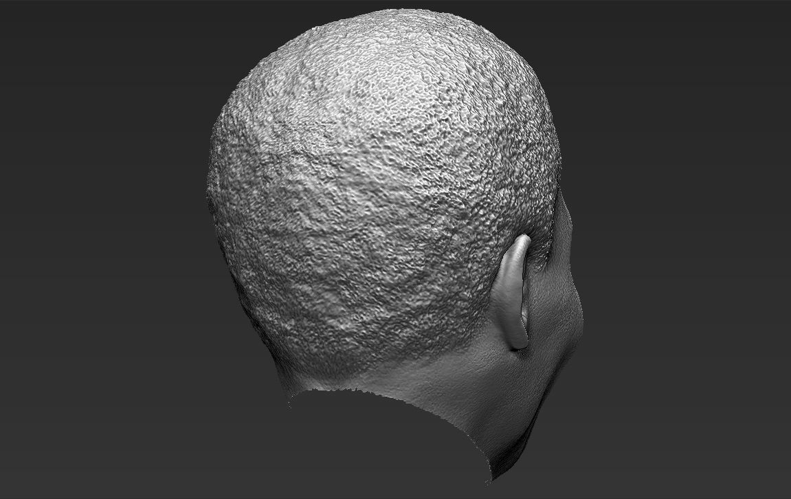 Nelson Mandela 3D model_33