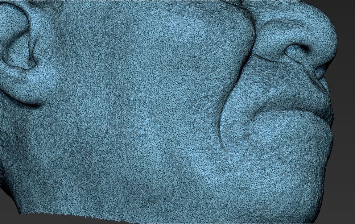 Nelson Mandela 3D model_50