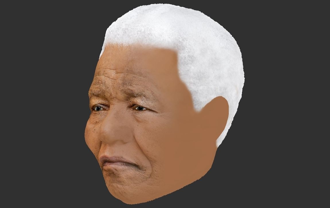 Nelson Mandela 3D model_24