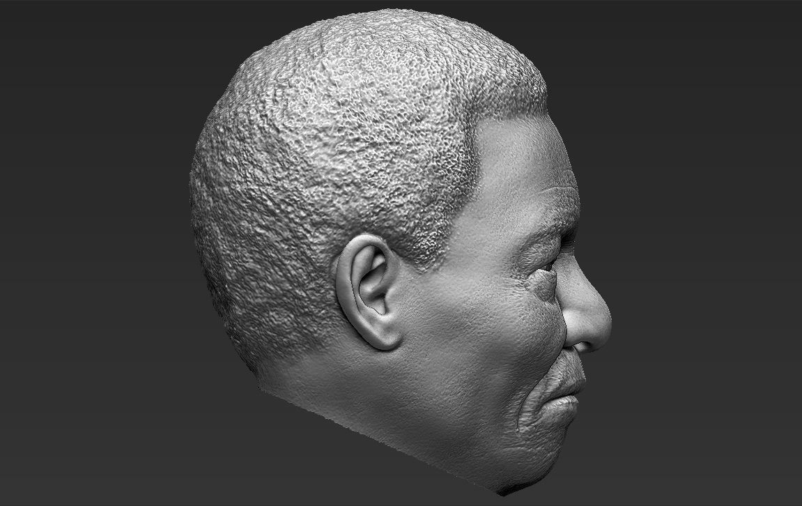 Nelson Mandela 3D model_35