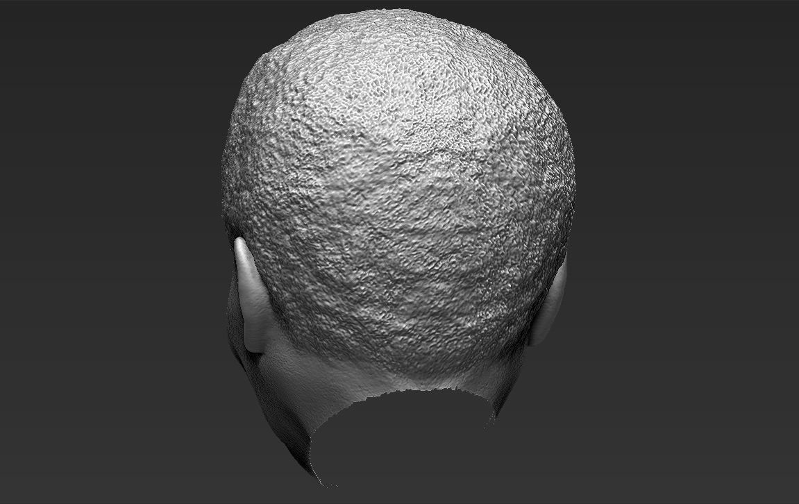 Nelson Mandela 3D model_31