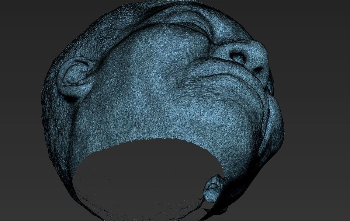 Nelson Mandela 3D model_51