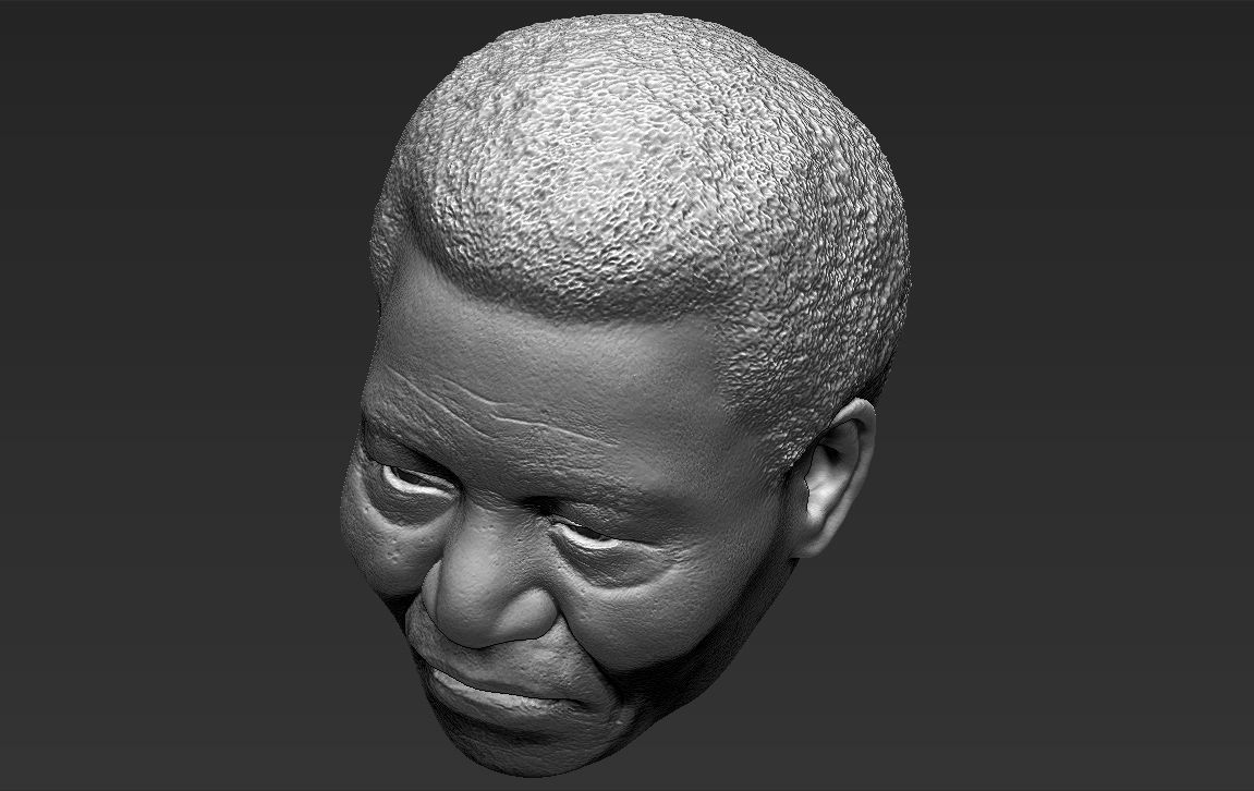 Nelson Mandela 3D model_41
