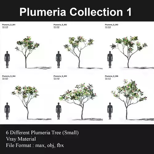 Plumeria Animated Collection 1 3D model