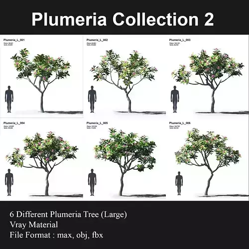 Plumeria Animated Collection 2
