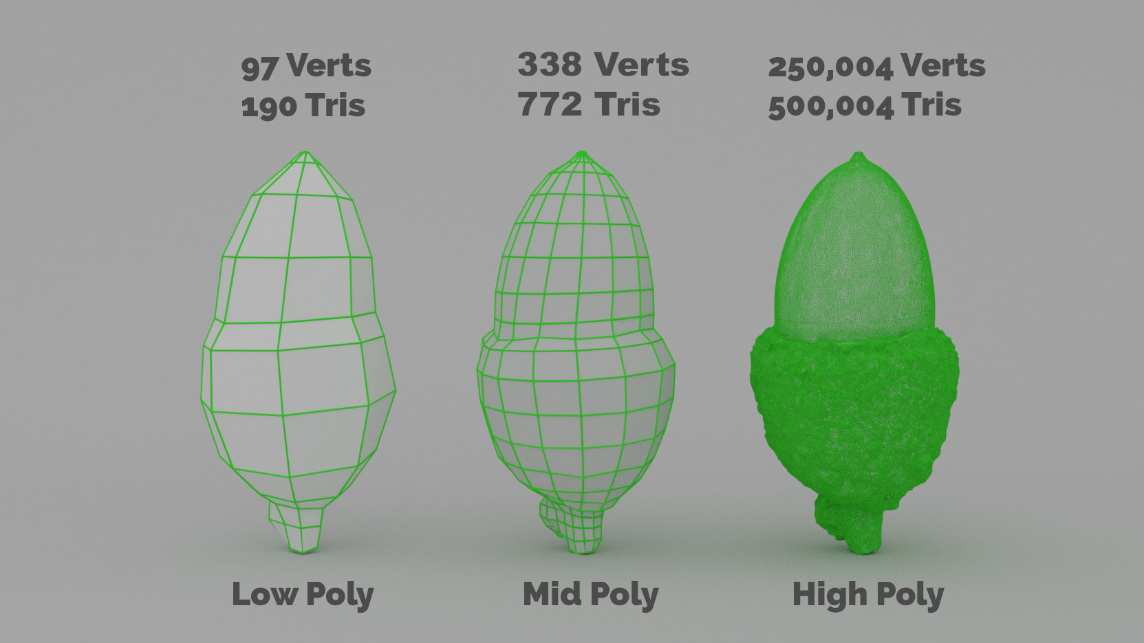 Acorn 4K Photoscanned Low-poly 3D model_11