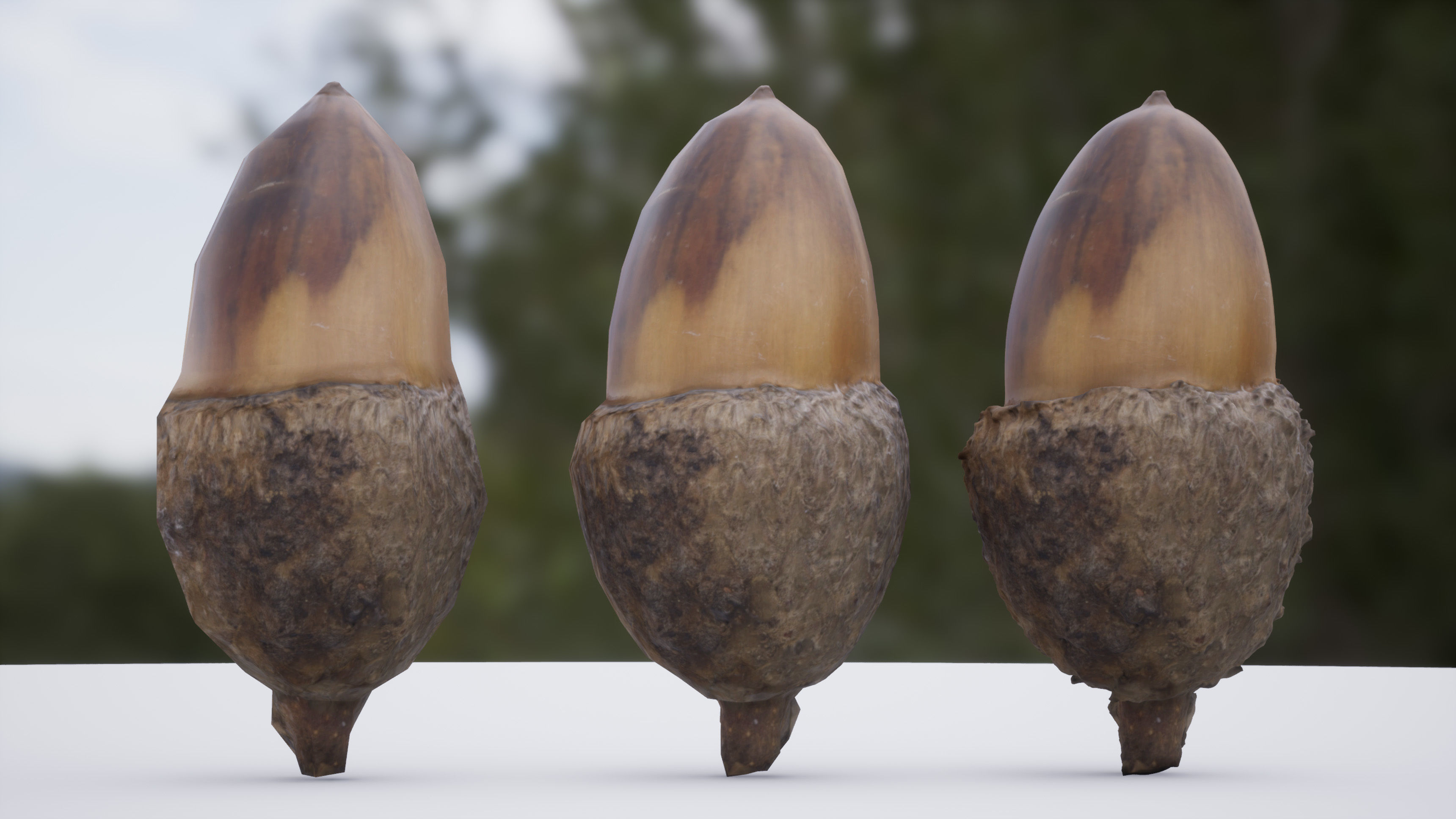 Acorn 4K Photoscanned Low-poly 3D model_9