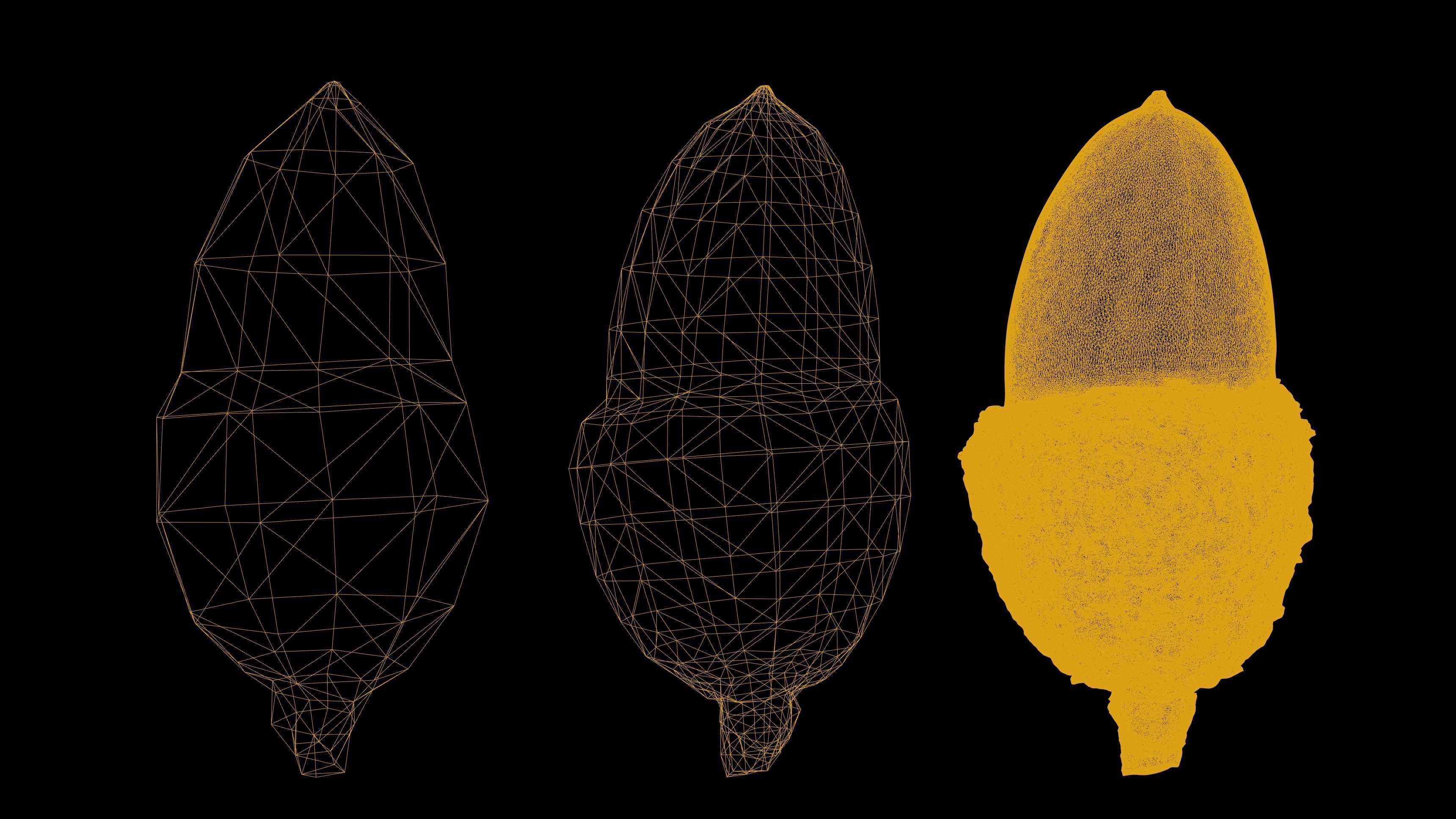 Acorn 4K Photoscanned Low-poly 3D model_10
