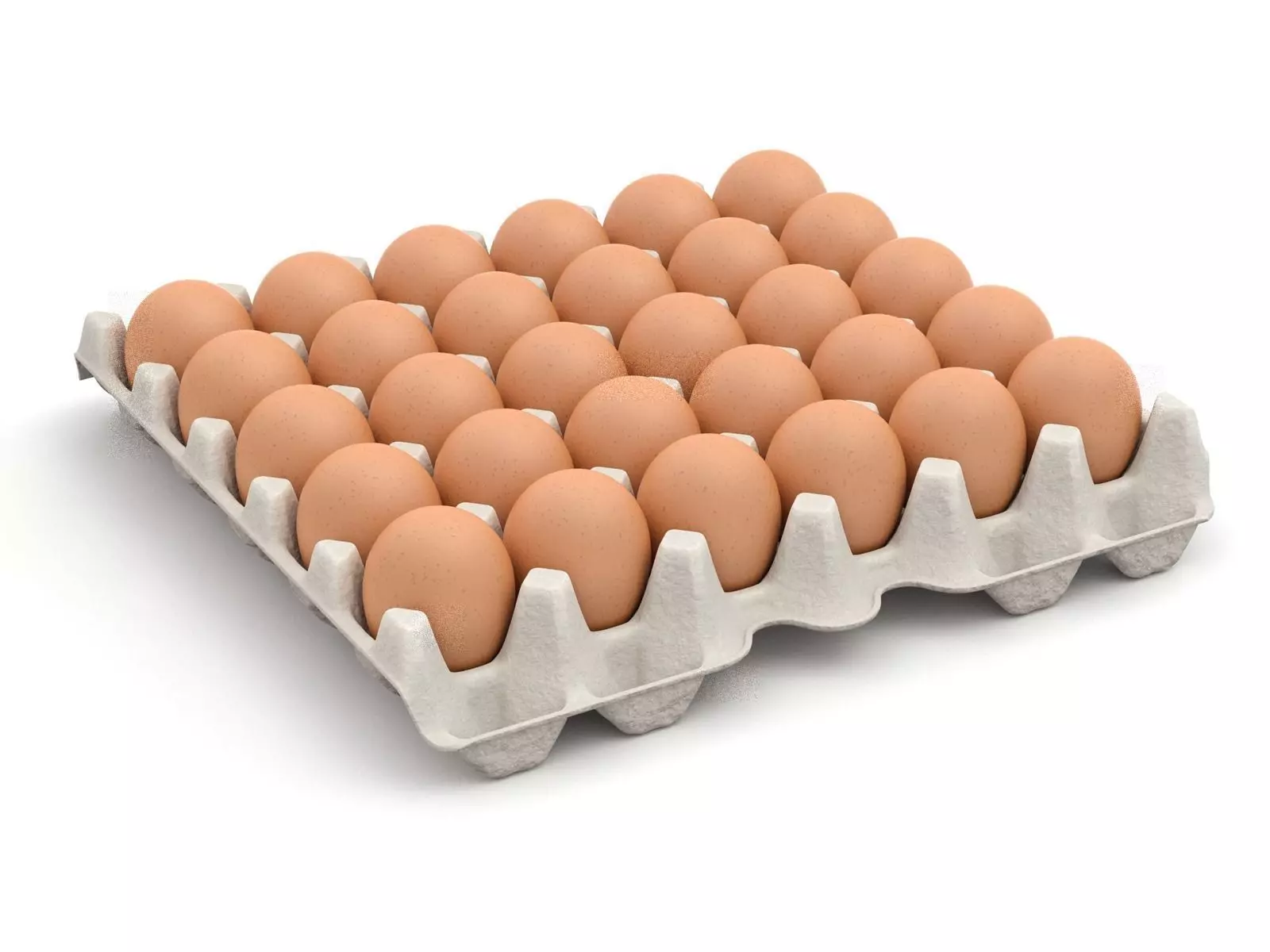Eggs in a carton package 3D model_0