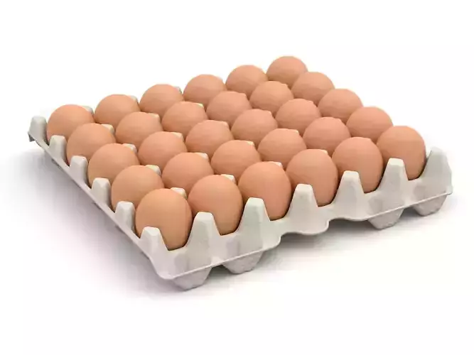Eggs in a carton package 3D model