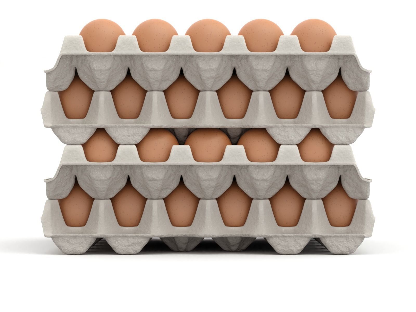 Eggs in a carton package 3D model_9