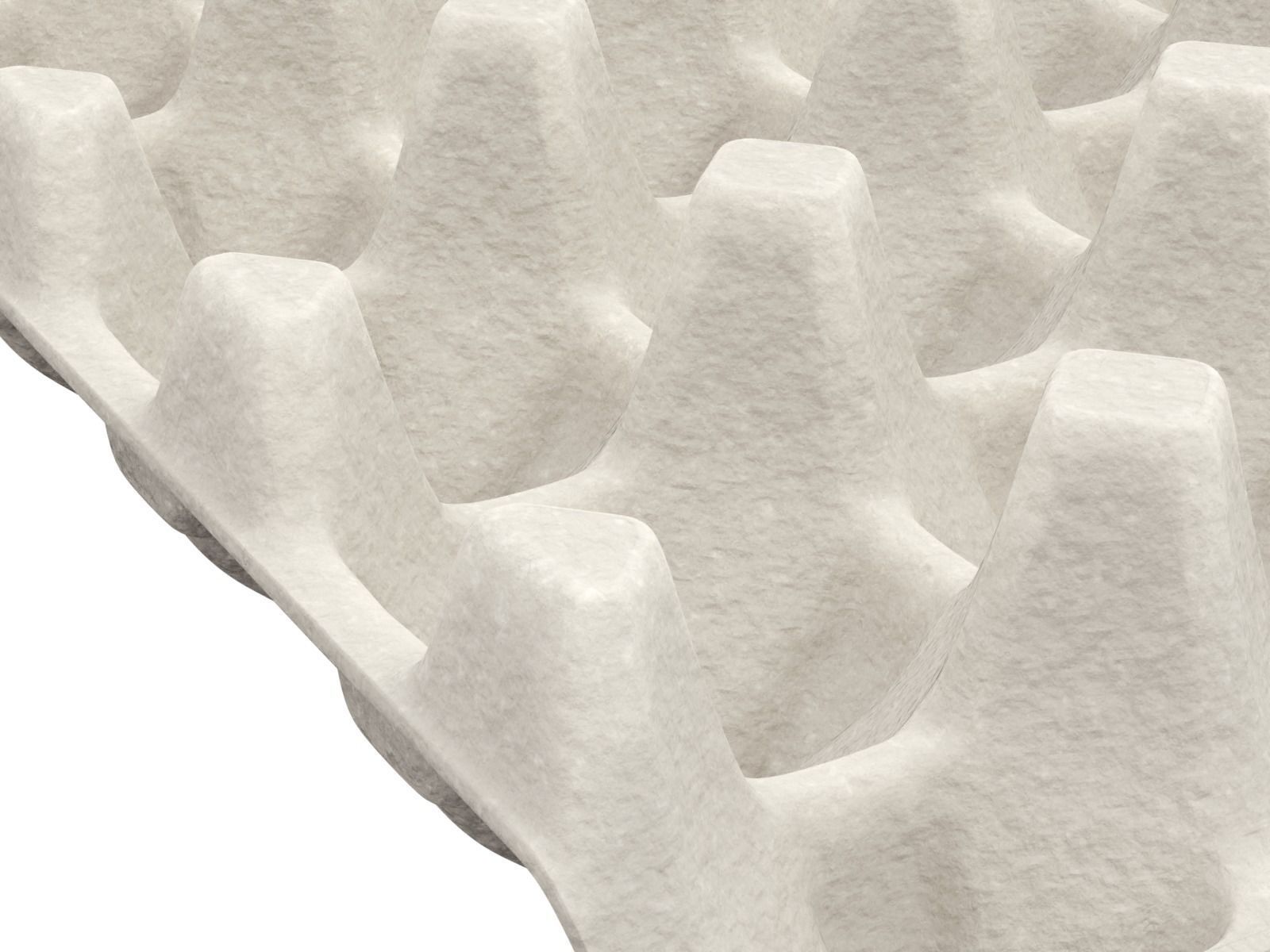 Eggs in a carton package 3D model_3