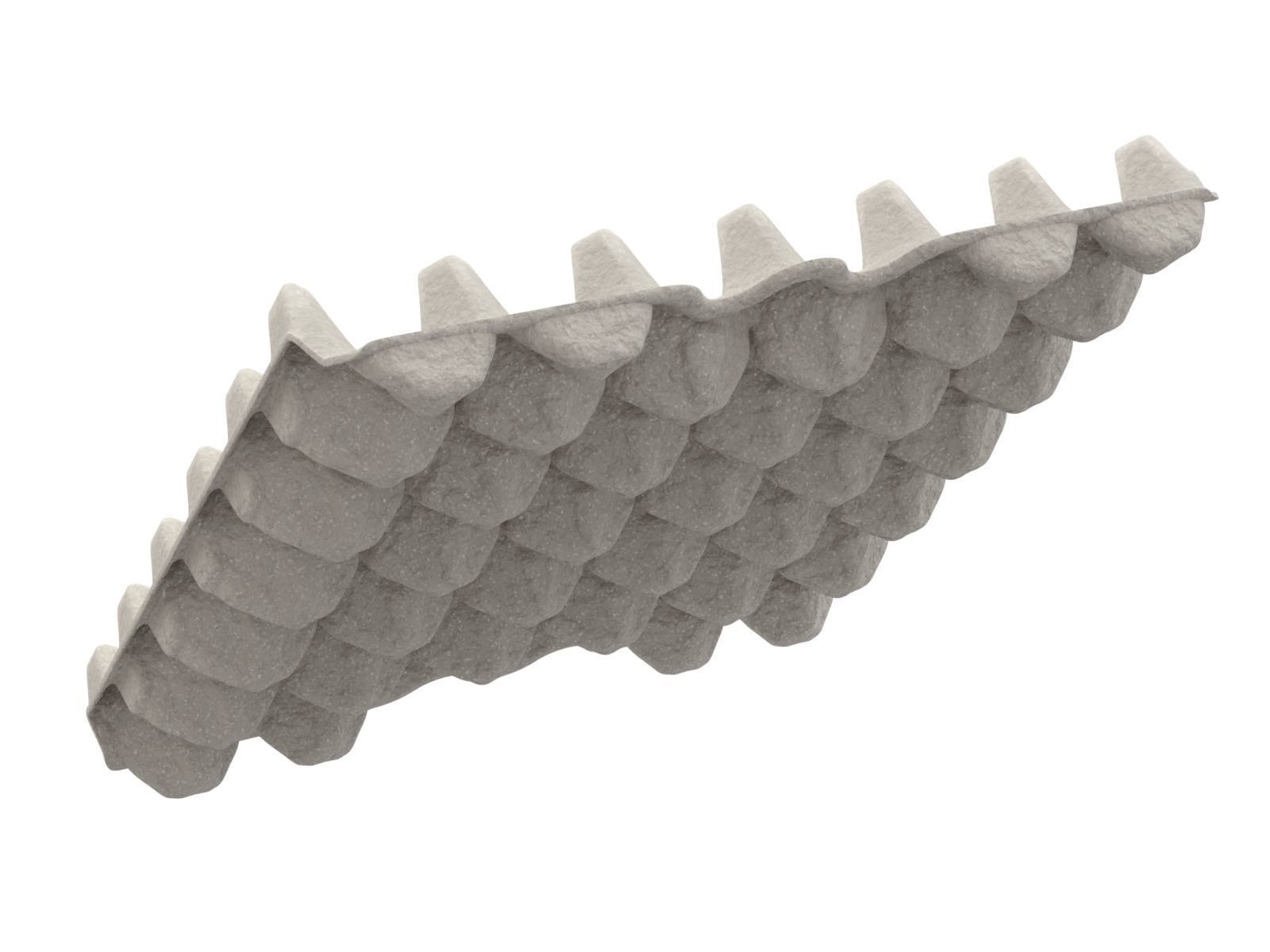 Eggs in a carton package 3D model_4