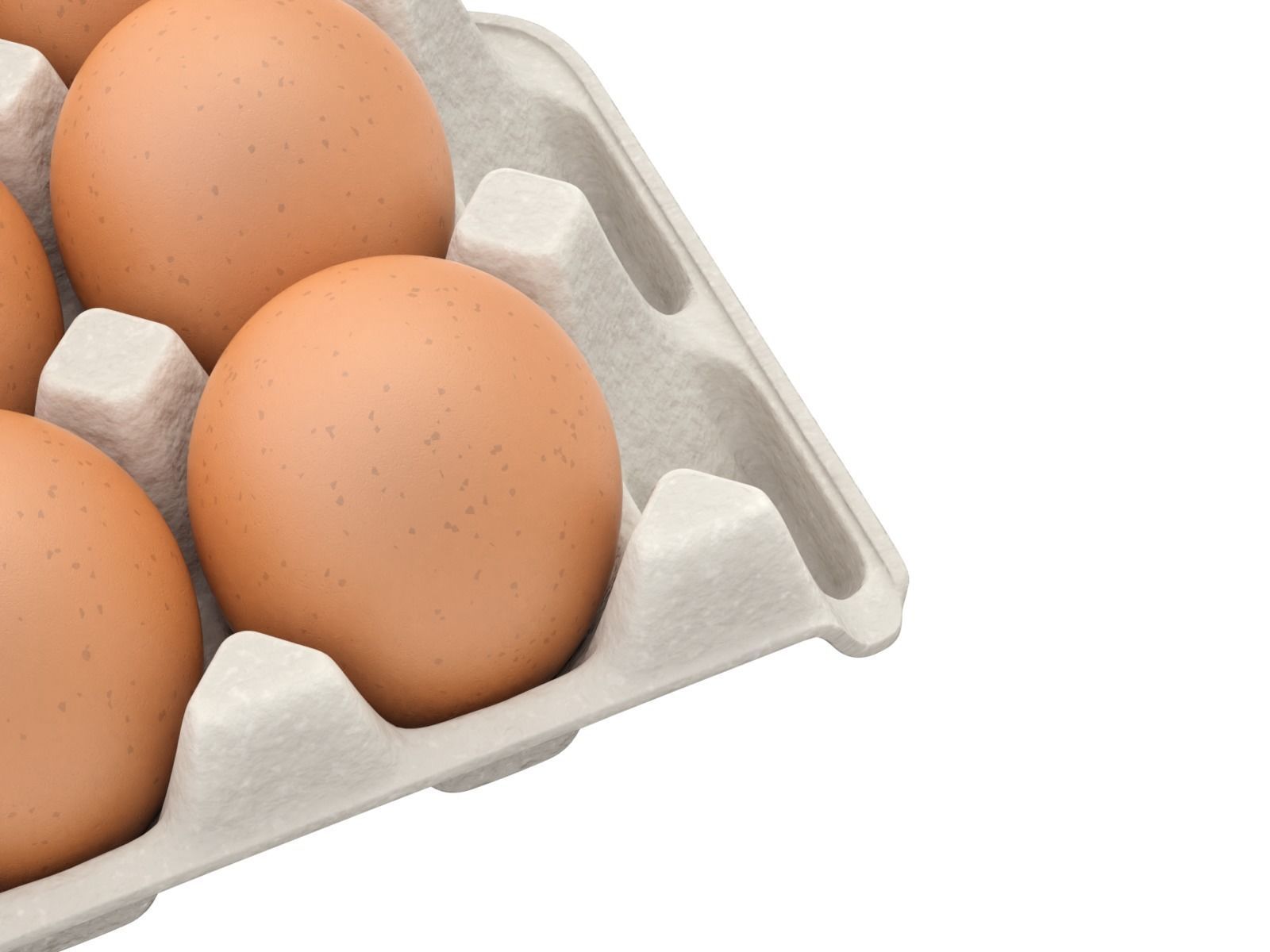 Eggs in a carton package 3D model_2