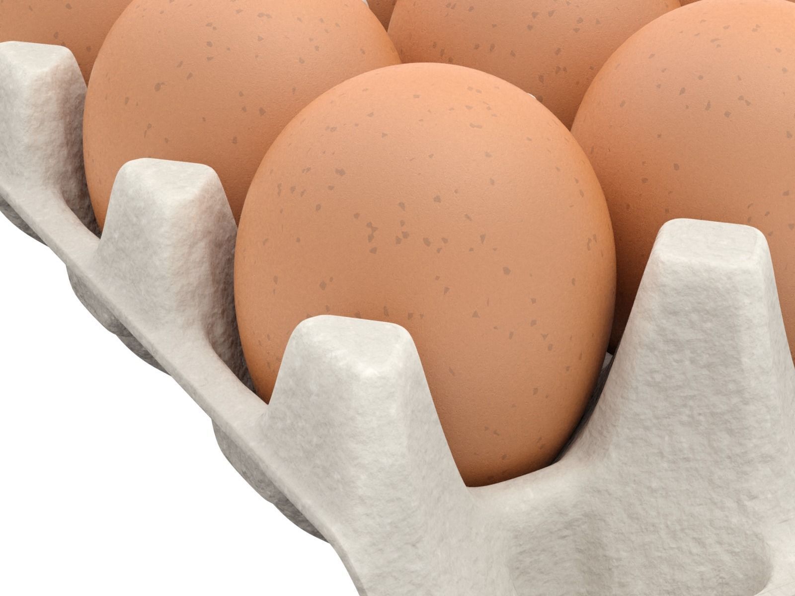Eggs in a carton package 3D model_1