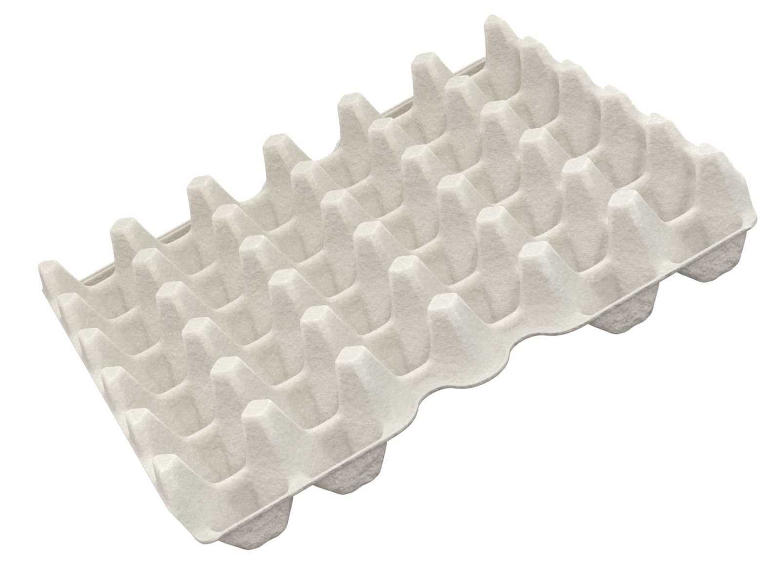 Eggs in a carton package 3D model_5