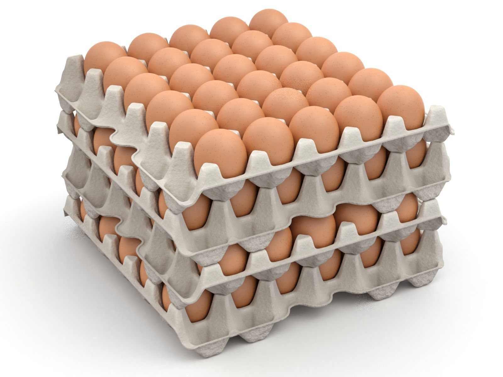 Eggs in a carton package 3D model_8