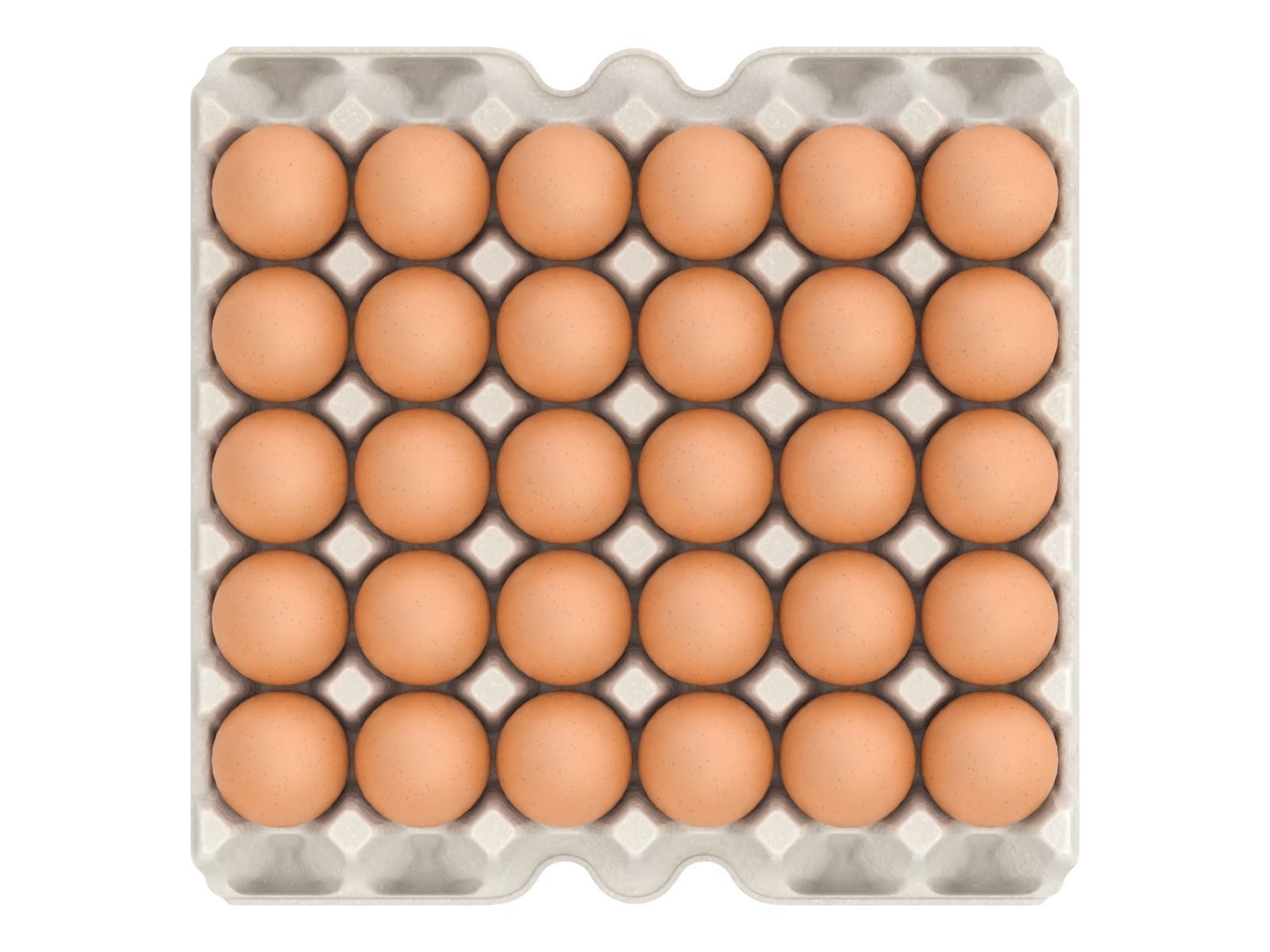 Eggs in a carton package 3D model_7