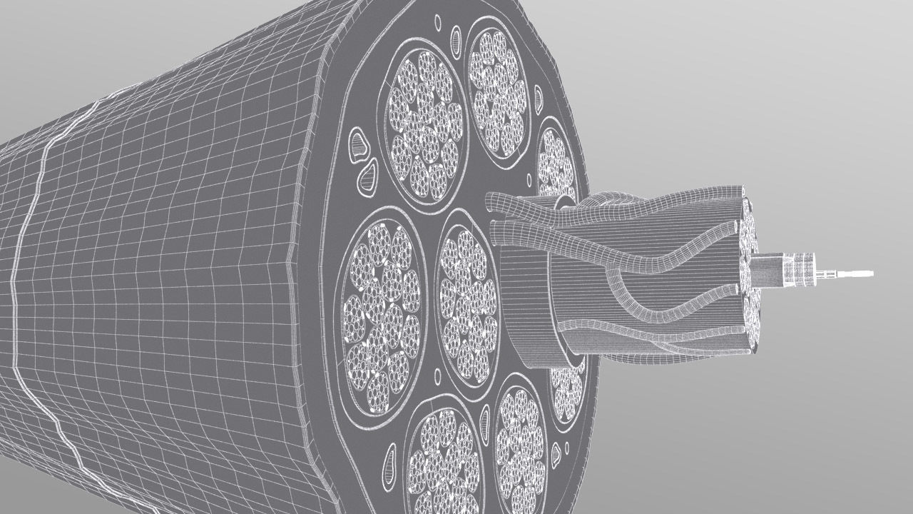 Skeletal Muscle Cell Fiber Cross Section 3D model_12