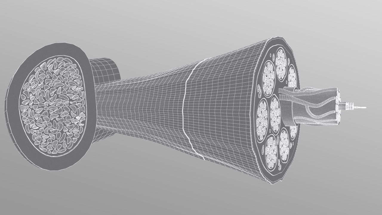 Skeletal Muscle Cell Fiber Cross Section 3D model_9