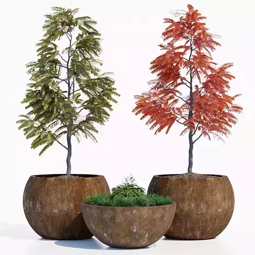 Globe Tree Planters