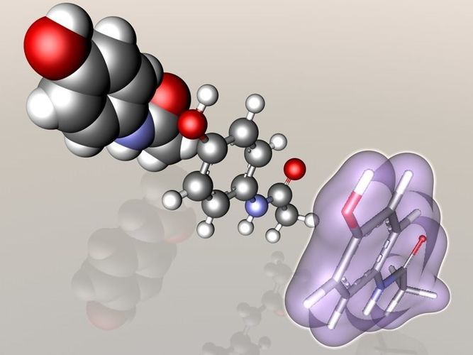 Paracetamol molecule 3D model
