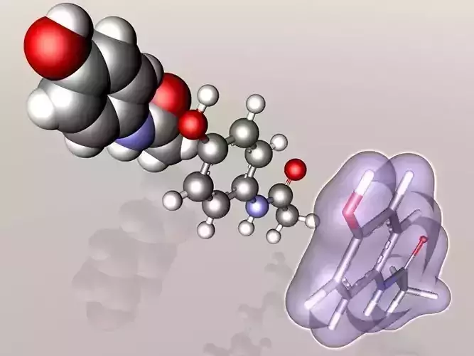 Paracetamol molecule 3D model