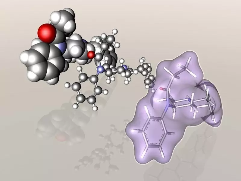 Fentanyl molecule 3D model_0