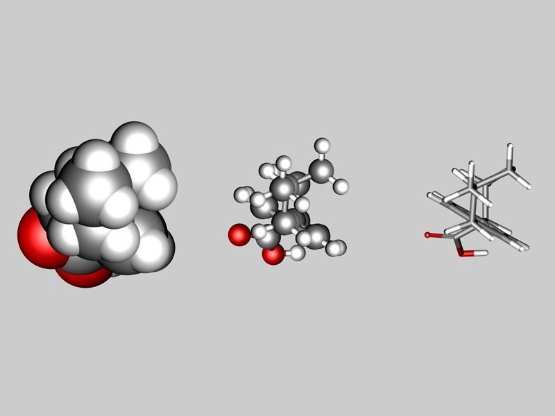 Ibuprofen molecule 3D model_3