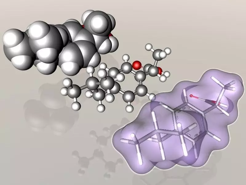 Ibuprofen molecule 3D model_0