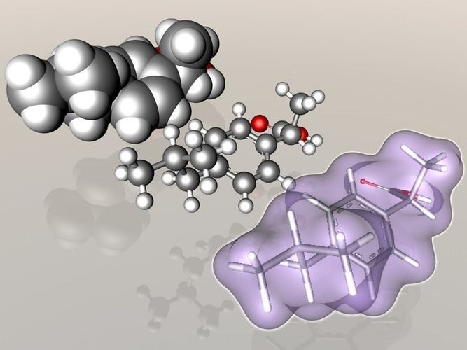 Ibuprofen molecule 3D model