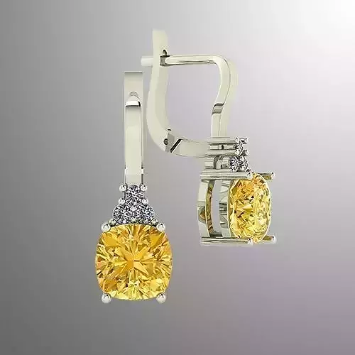 Earrings 34