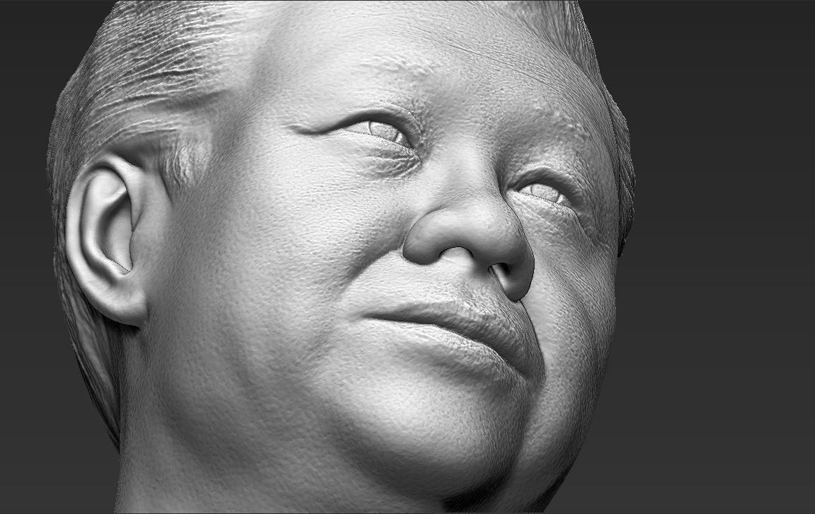 Xi Jinping bust 3D printing ready stl obj formats 3D print model_22