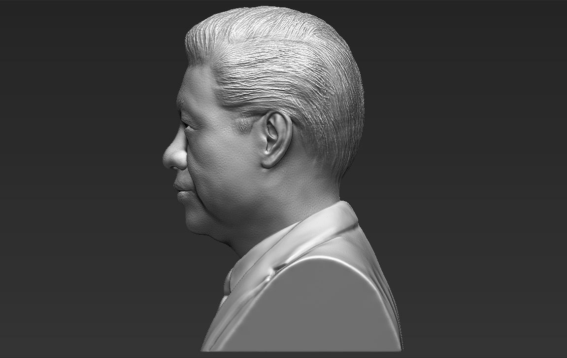 Xi Jinping bust 3D printing ready stl obj formats 3D print model_4