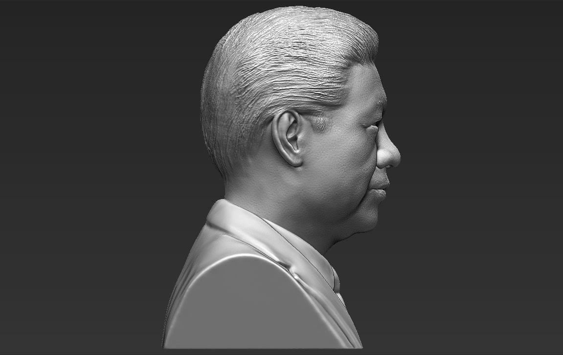 Xi Jinping bust 3D printing ready stl obj formats 3D print model_10