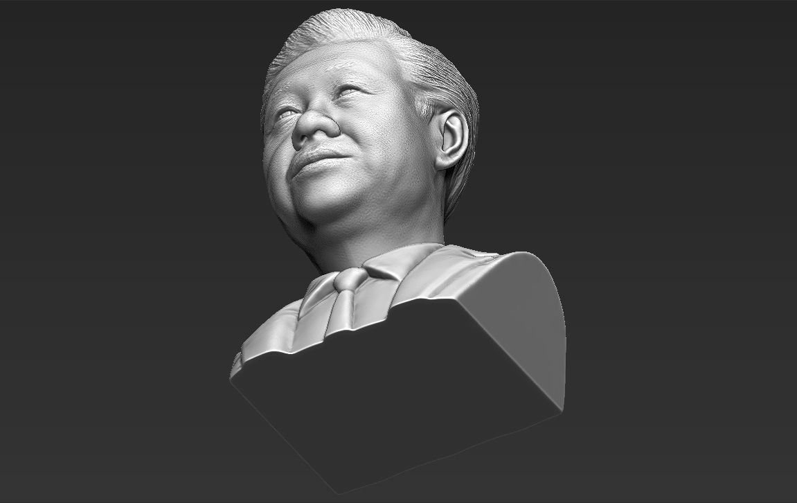 Xi Jinping bust 3D printing ready stl obj formats 3D print model_24