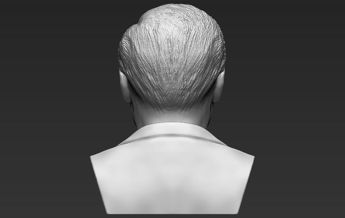 Xi Jinping bust 3D printing ready stl obj formats 3D print model_7