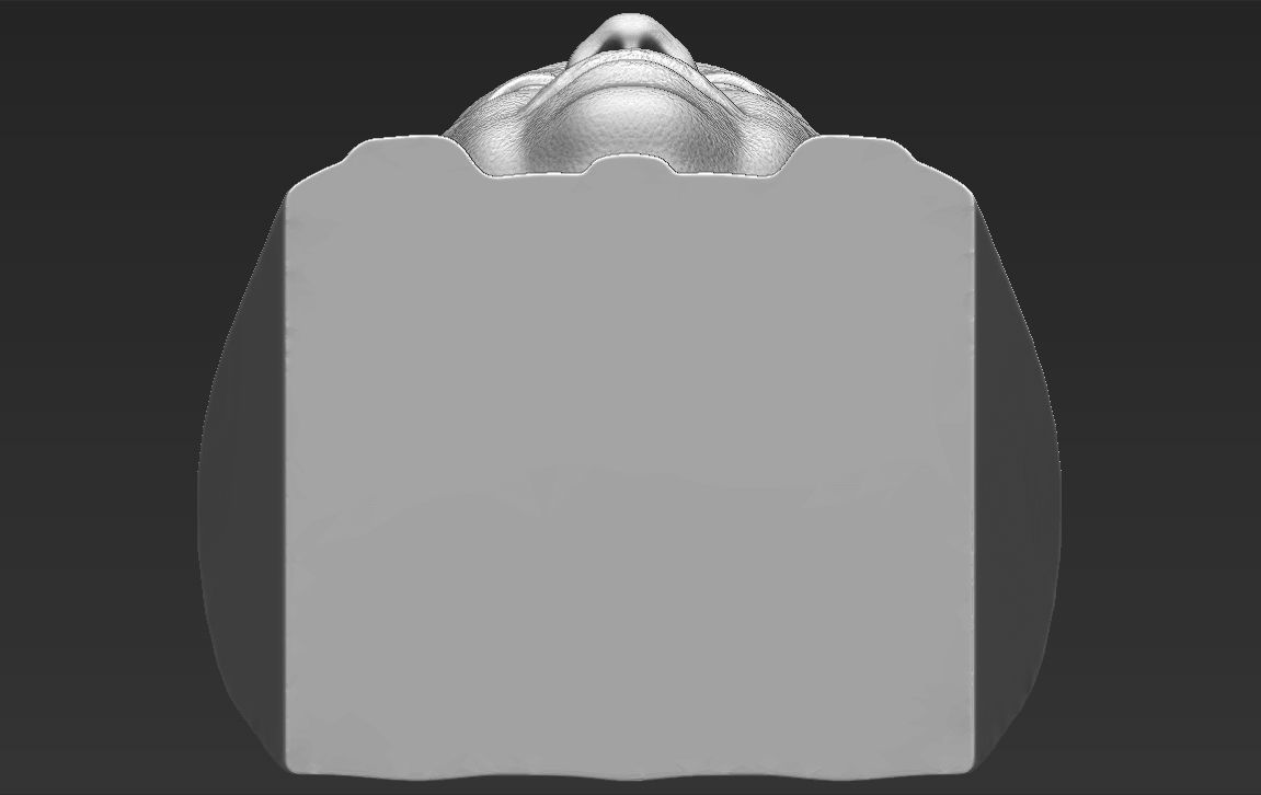 Xi Jinping bust 3D printing ready stl obj formats 3D print model_25