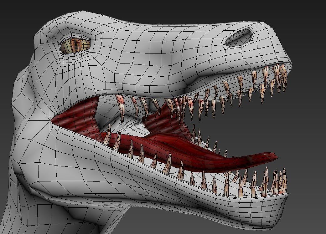 Velociraptor dinosaur 3D model_7