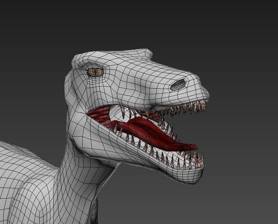 Velociraptor dinosaur 3D model_2