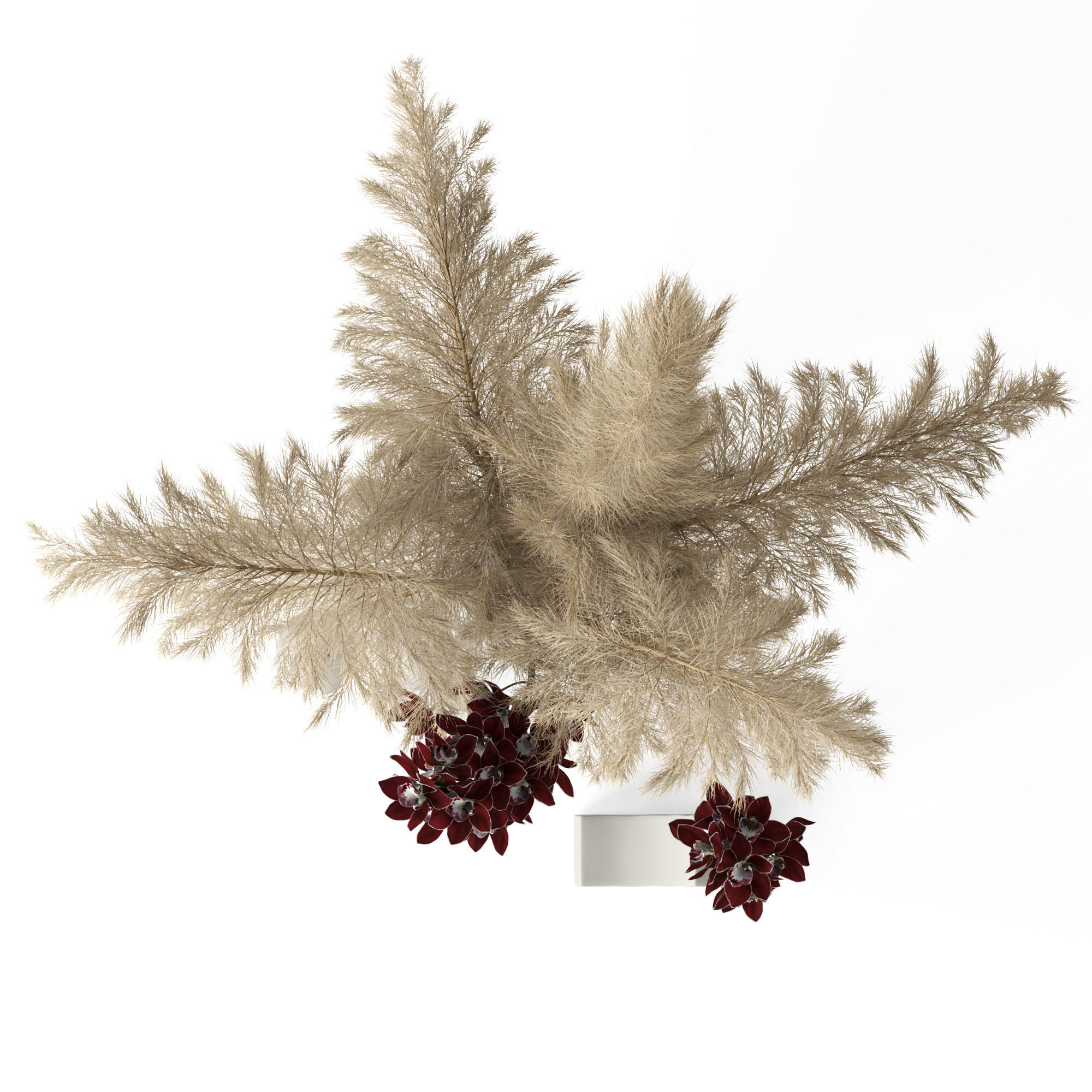 Pampas grass and Cymbidium 3D model_4