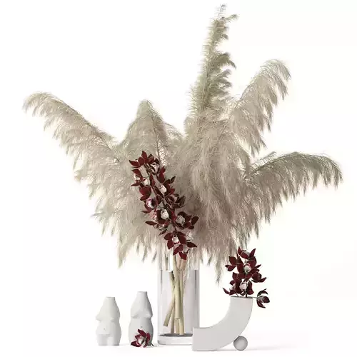 Pampas grass and Cymbidium 3D model