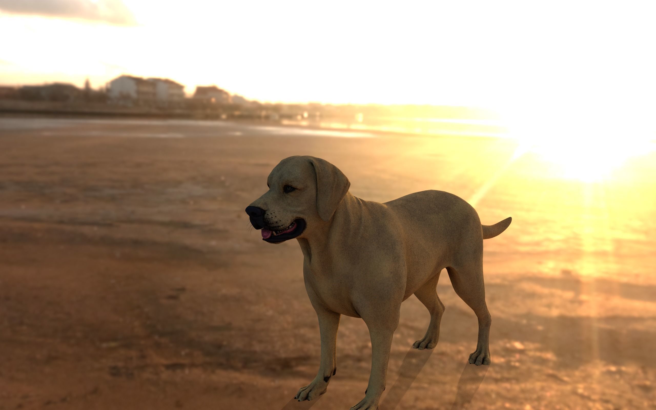 dog 3D model labrador retriever Low-poly 3D model_2