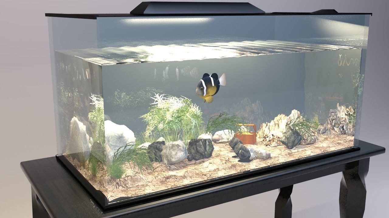 Aquarium fish tank on table 3D model_1
