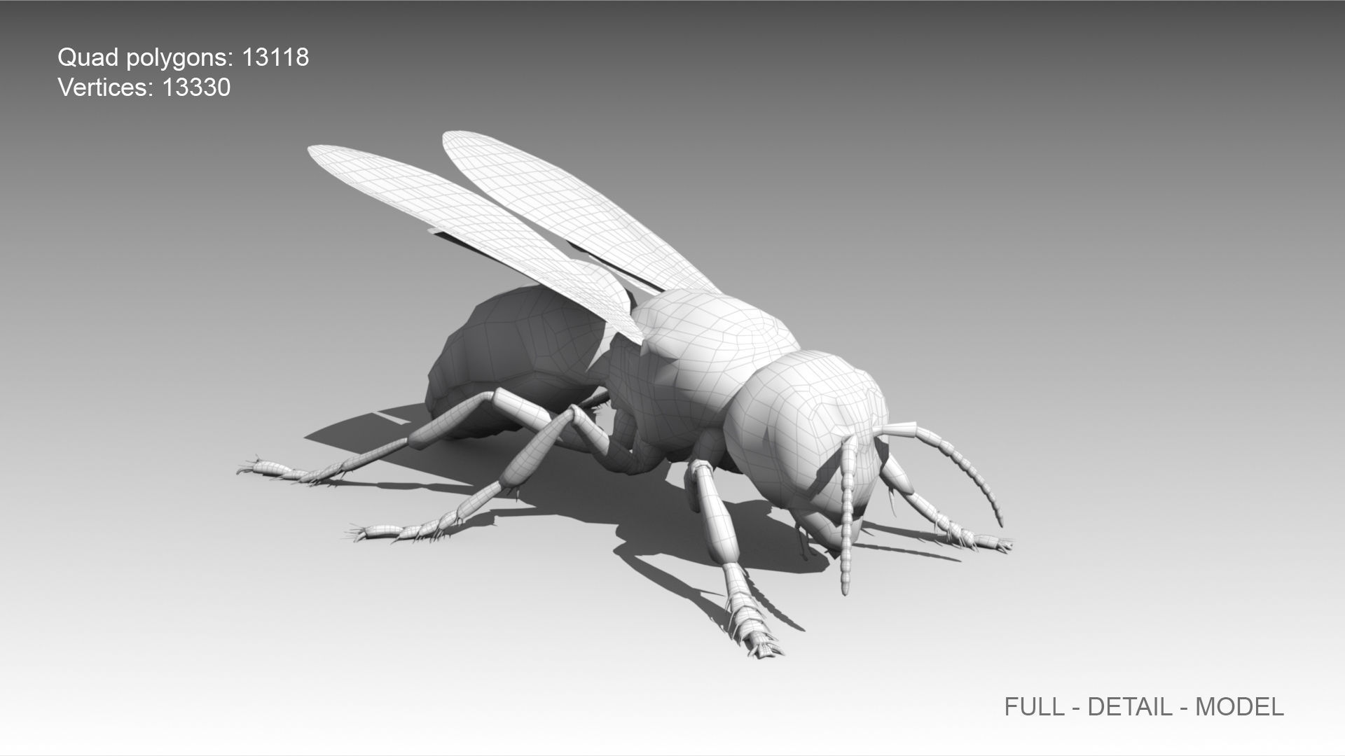 Giant Hornet Low-poly 3D model_8