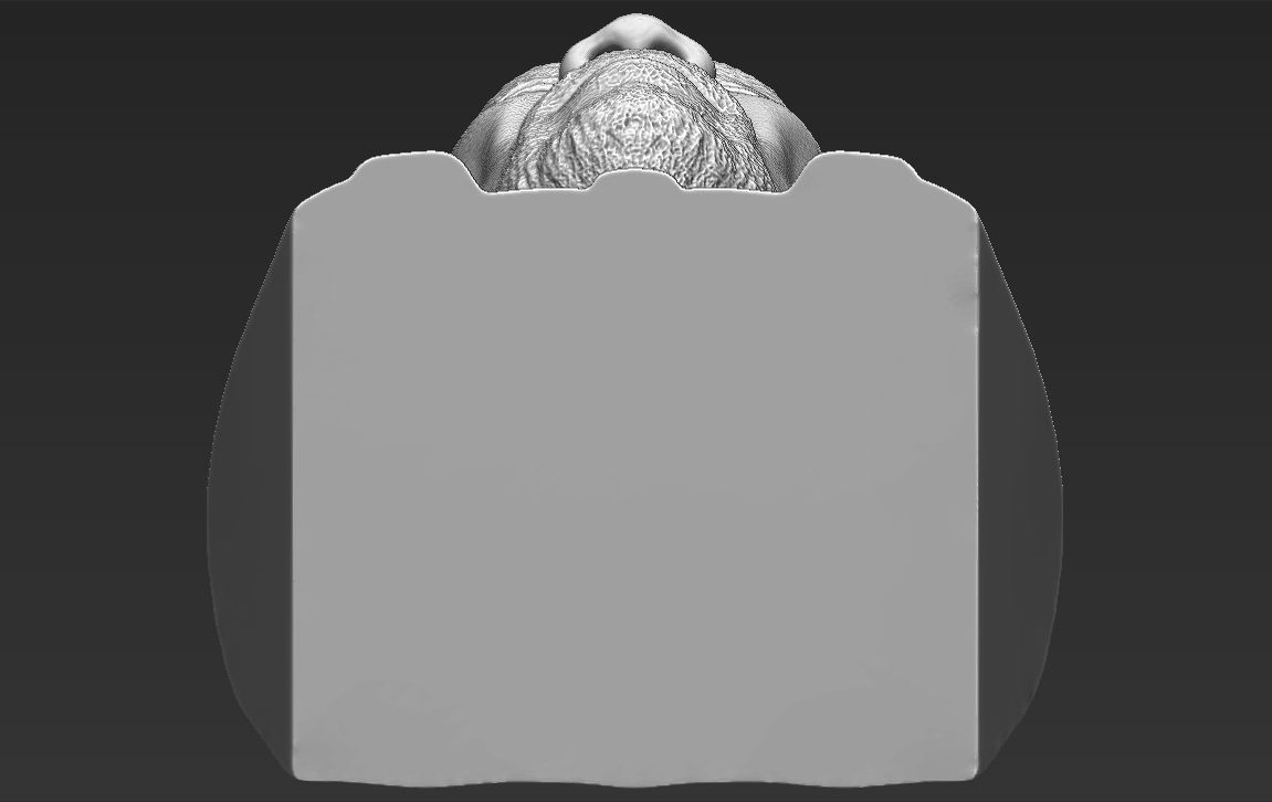 Morgan Freeman bust ready for full color 3D printing 3D print model_49