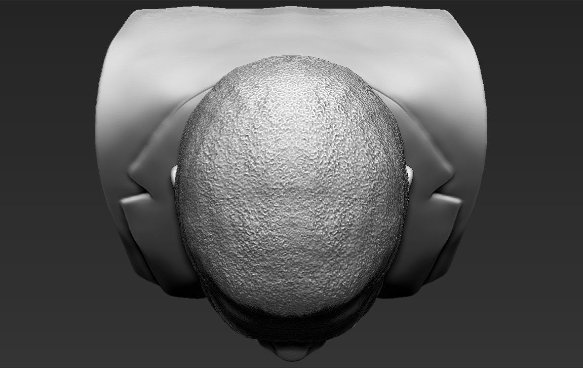 Morgan Freeman bust ready for full color 3D printing 3D print model_46