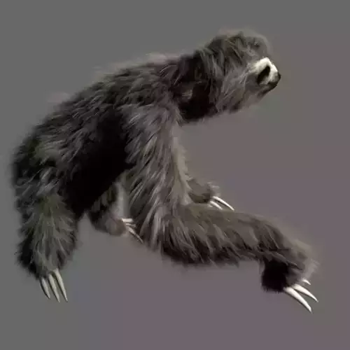 Sloth Low-poly 3D model