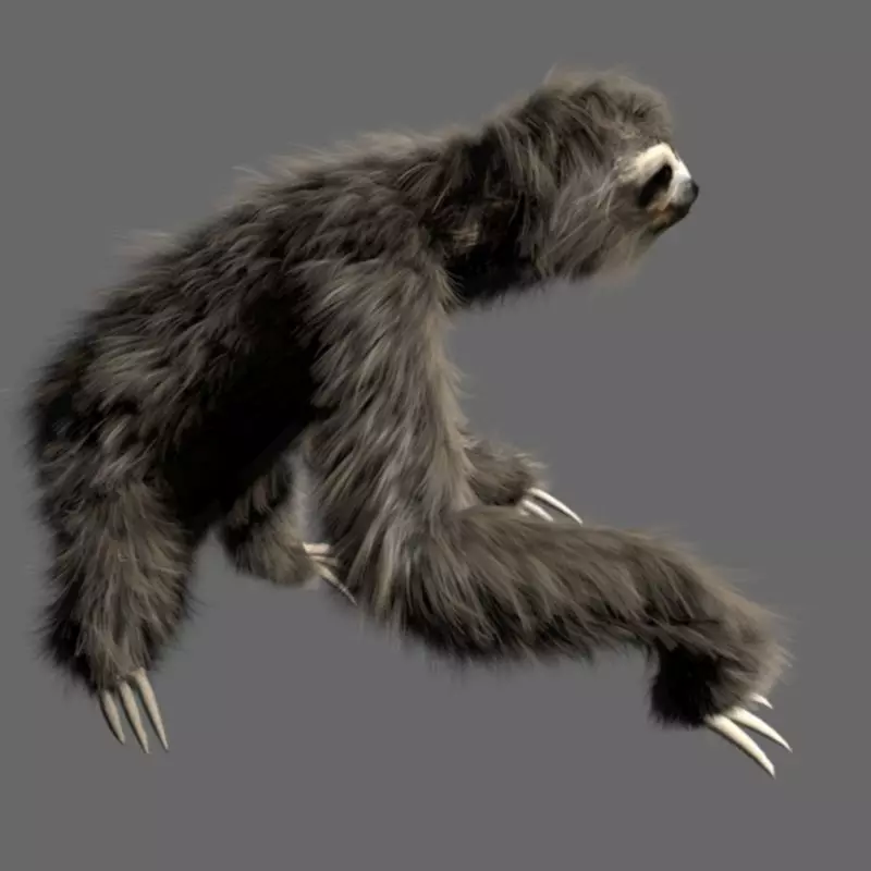 Sloth Low-poly 3D model_0