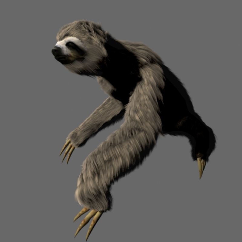 Sloth Low-poly 3D model_3